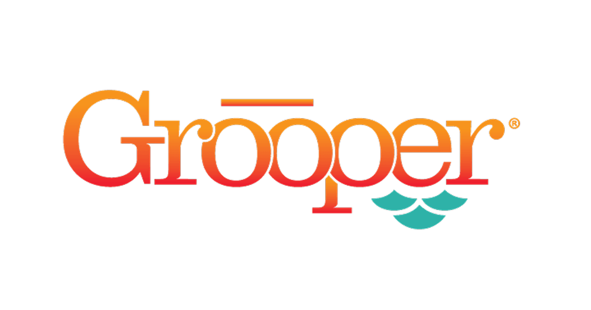 BIG Grooper : A Powerful Document Processing Tool With Some UI Caveats